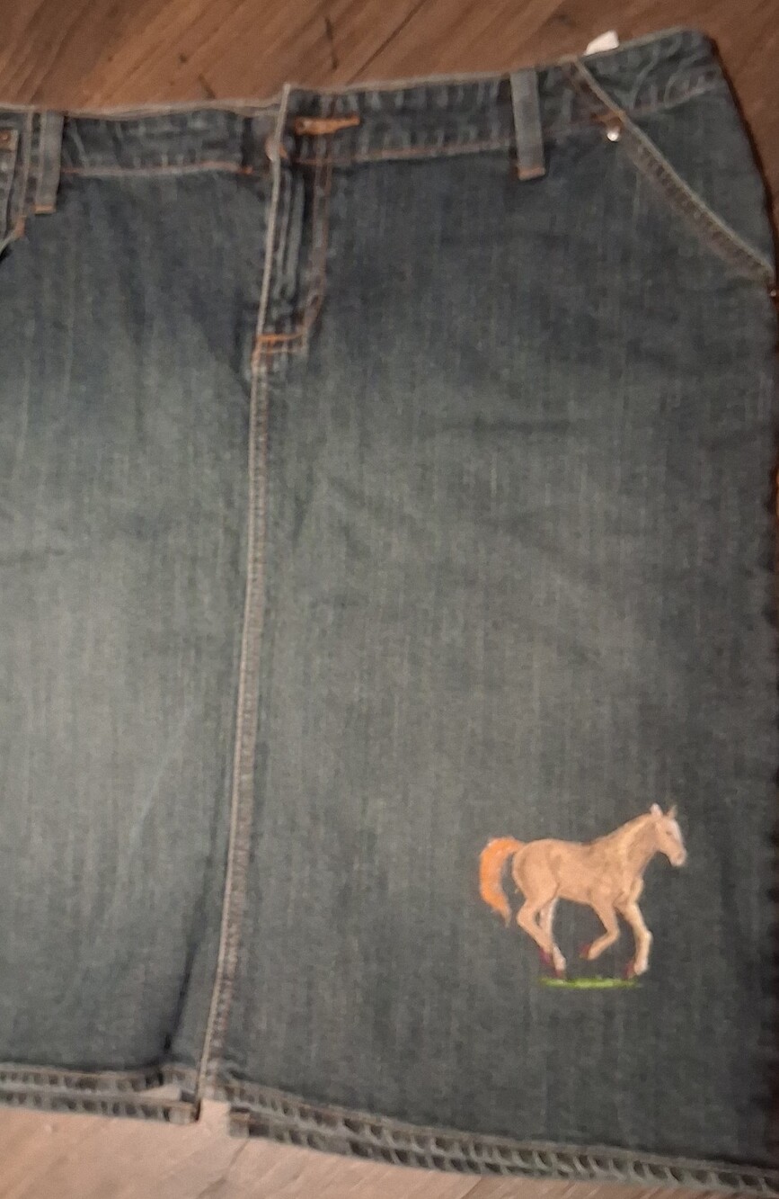 RIDERS COOPER Classic Denim Mini Skirt in Washed Blue Levi, Horse Cowgirl